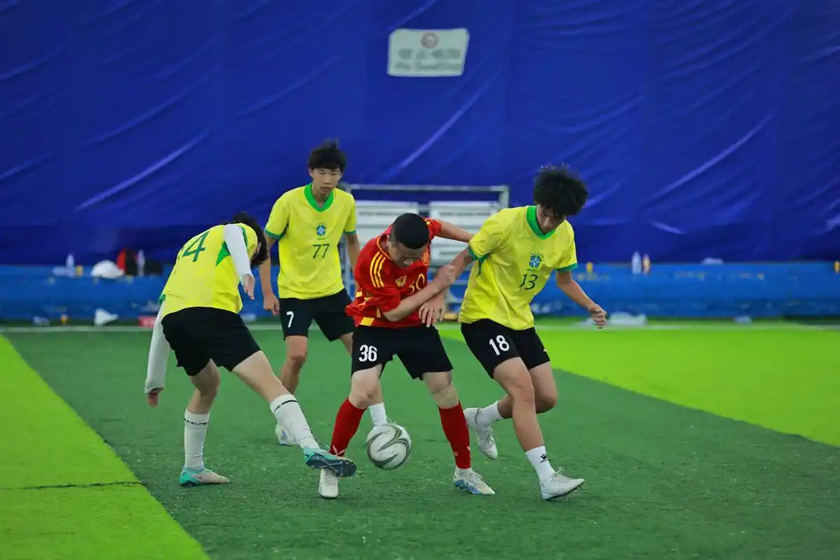 雨燕360体育免费直播